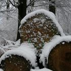 Ostern 2008 - könnte auch Weihnachten gewesen sein!