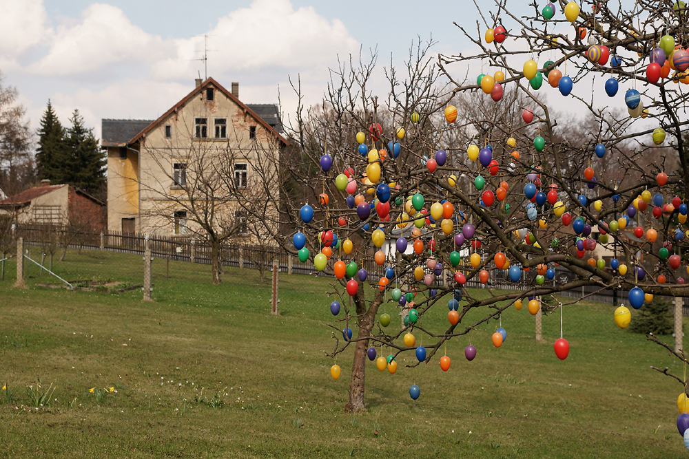 Ostern 2010 im Zittauer Gebirge Foto & Bild | deutschland ...