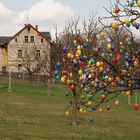 Ostern 2010 im Zittauer Gebirge