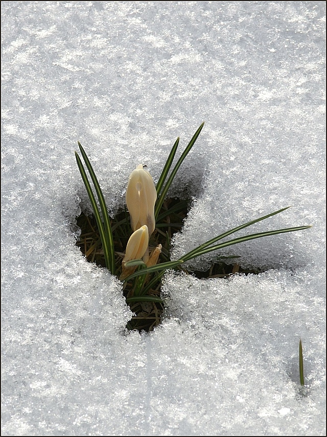 Ostern 2013