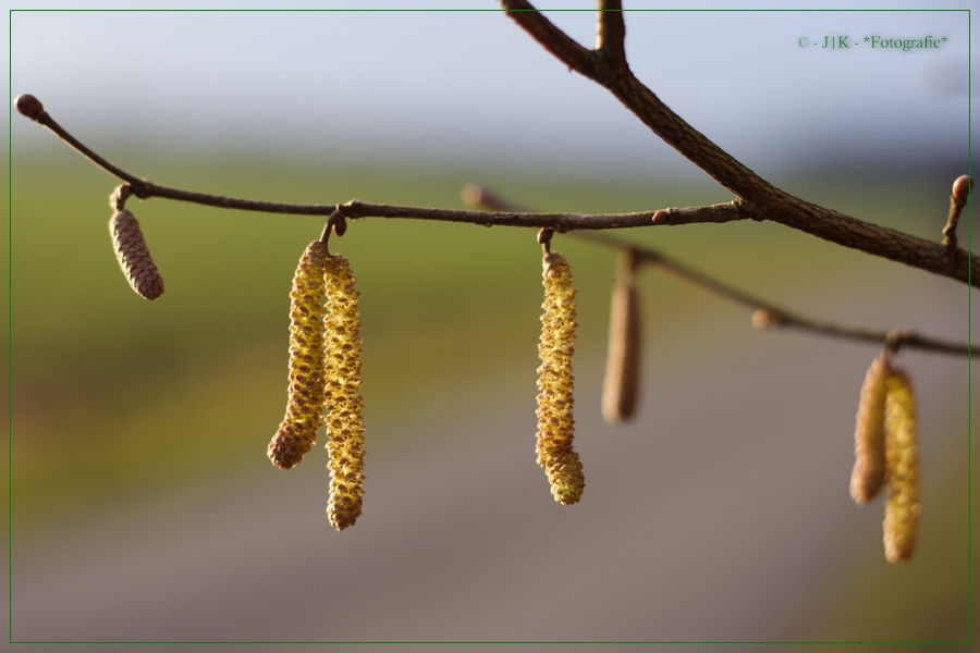 Ostern 2013