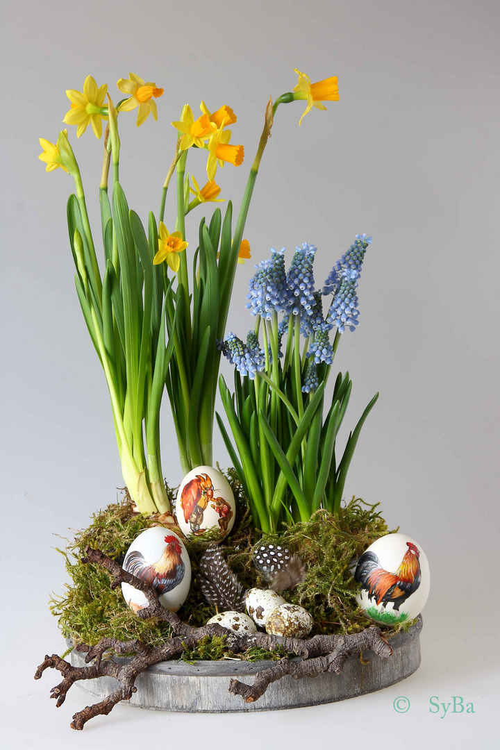 Ostern 2015 Foto Bild Karten Und Kalender Osterkarten Kartenmotive Bilder Auf Fotocommunity