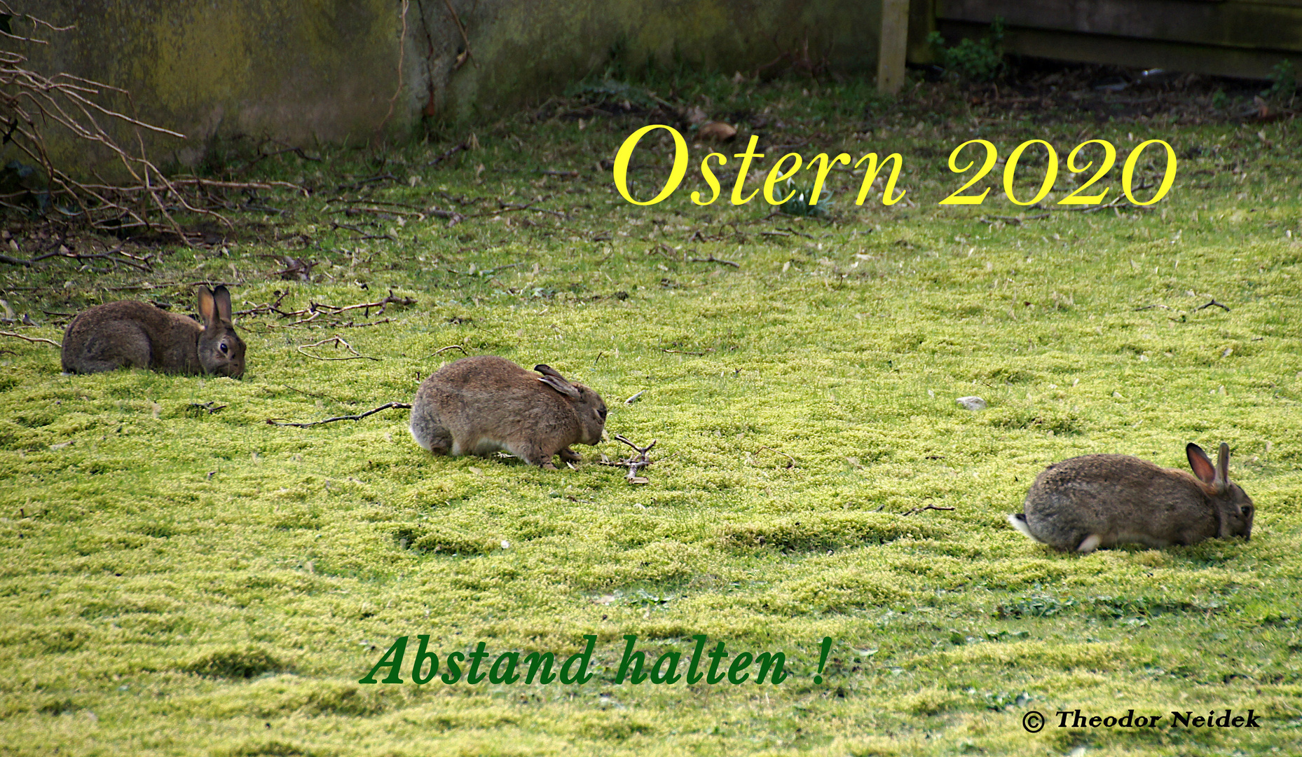 Ostern 2020 anders