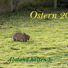 Ostern 2020 anders
