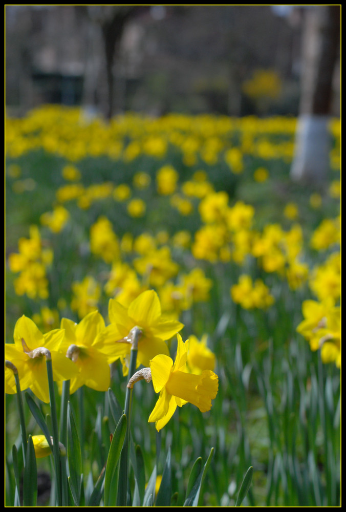 Ostern