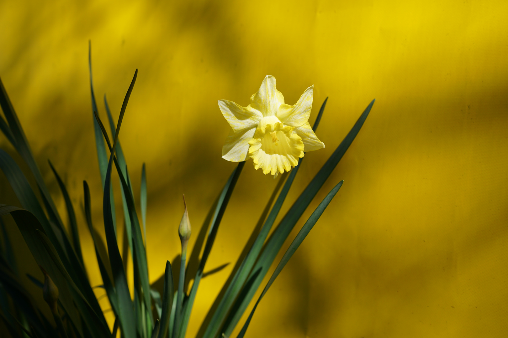 ostern