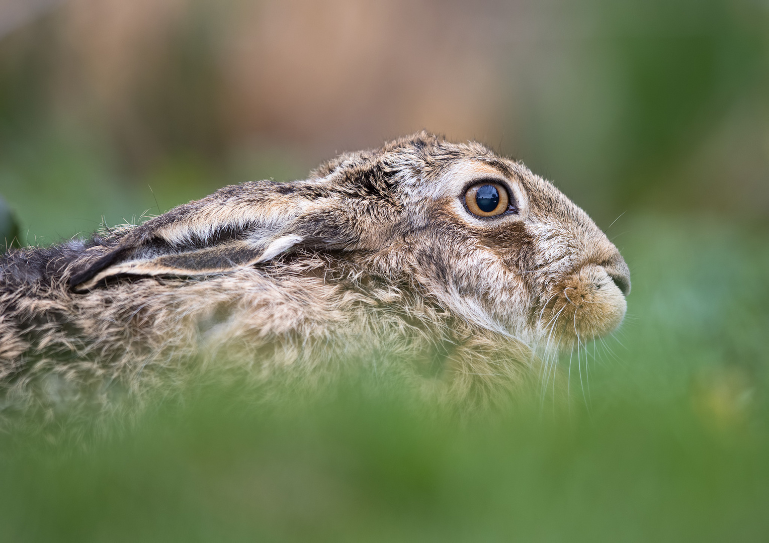 Ostern...