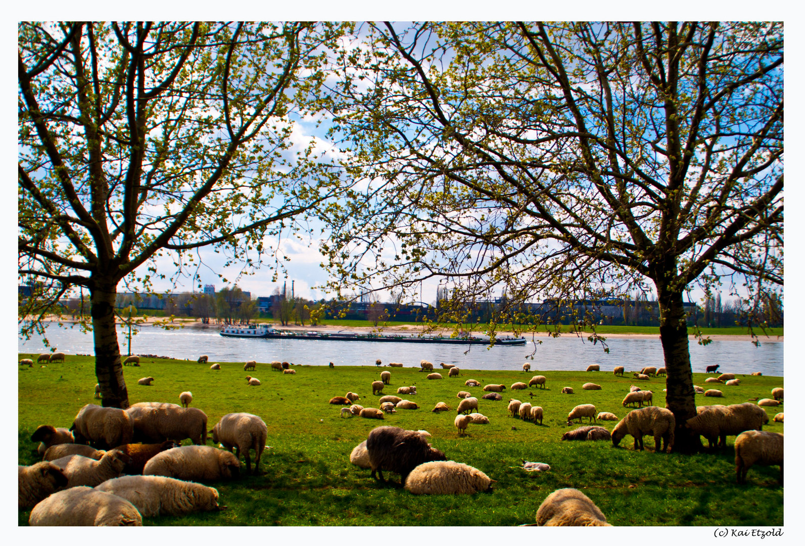 Ostern am Rhein