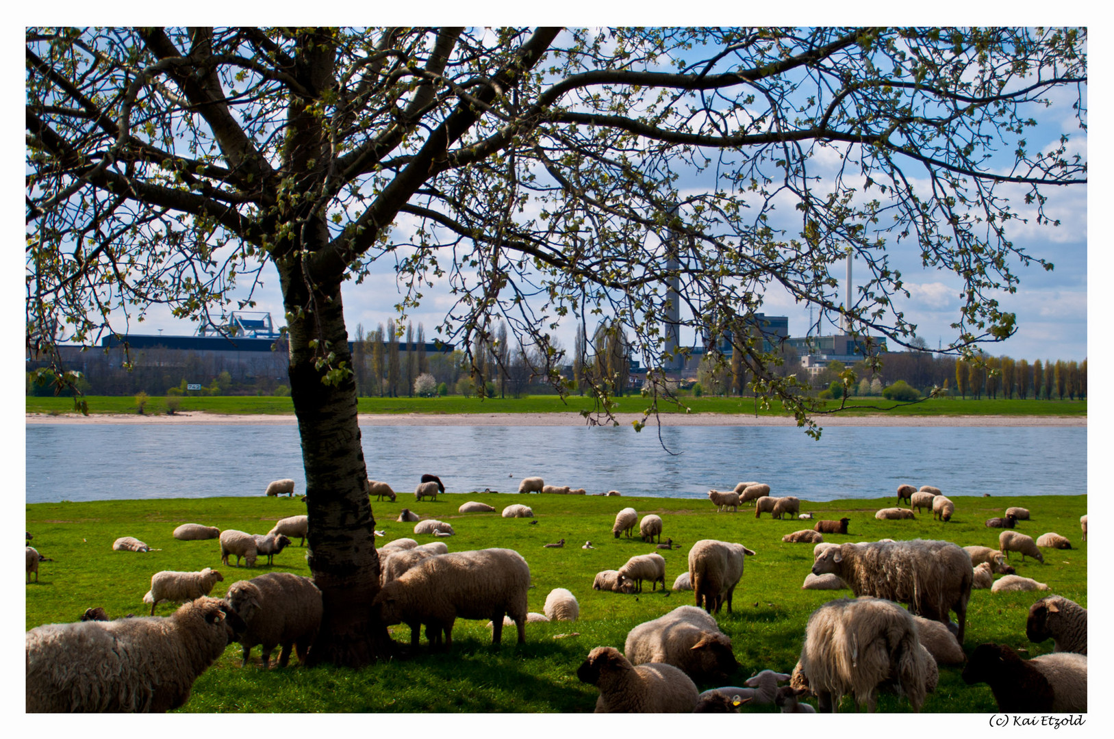 Ostern am Rhein in Düsseldorf