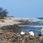 Ostern am Strand