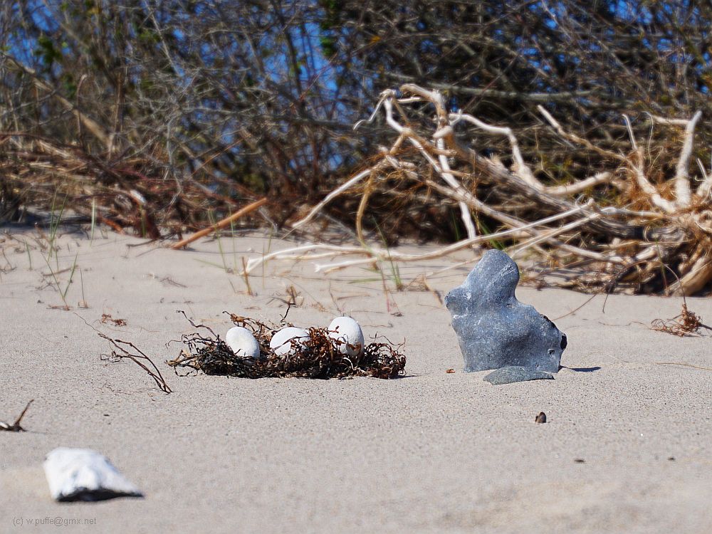 Ostern am Strand