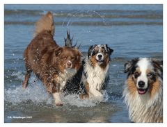 Ostern an der Ostsee