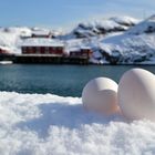 Ostern auf den Lofoten