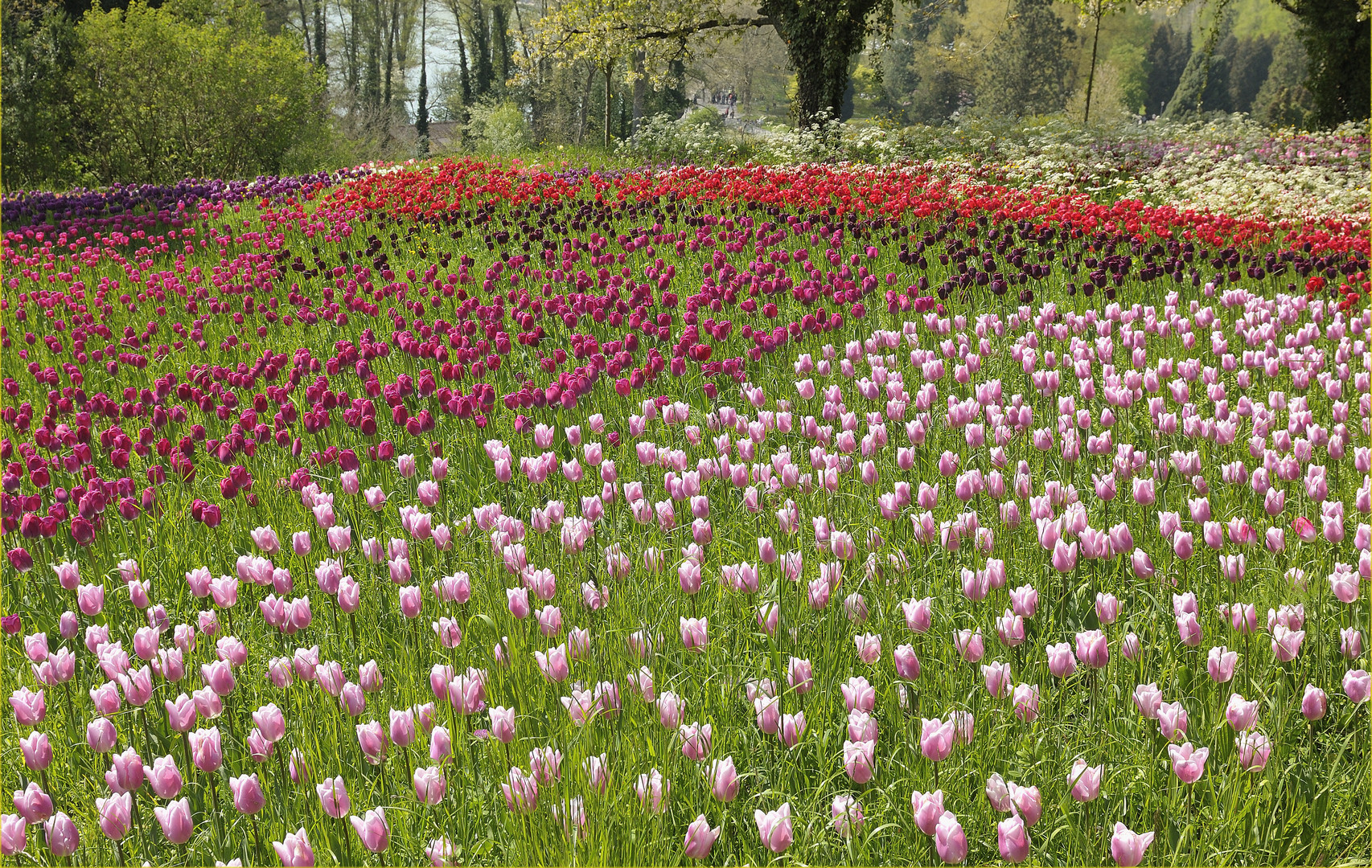 Ostern auf der Insel Mainau