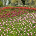 Ostern auf der Insel Mainau