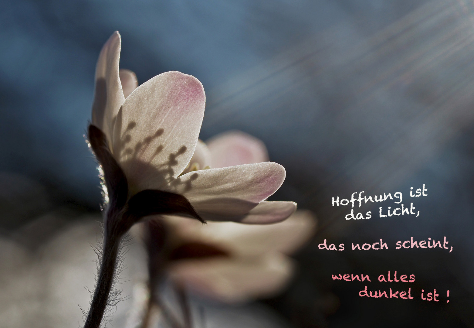 Ostern, das Fest der Hoffnung ,,,