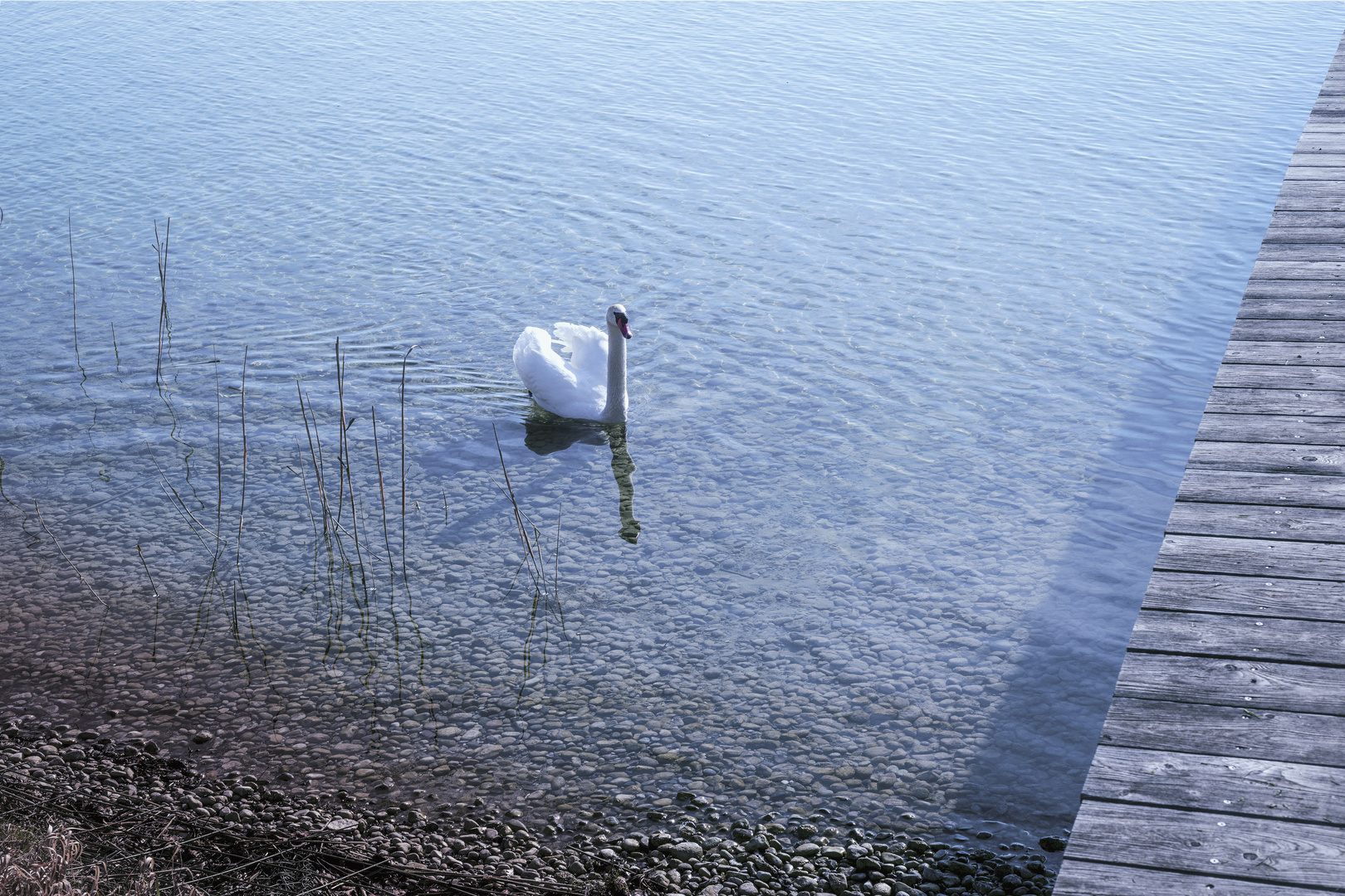 Ostern dauert bis Pfingsten :-)