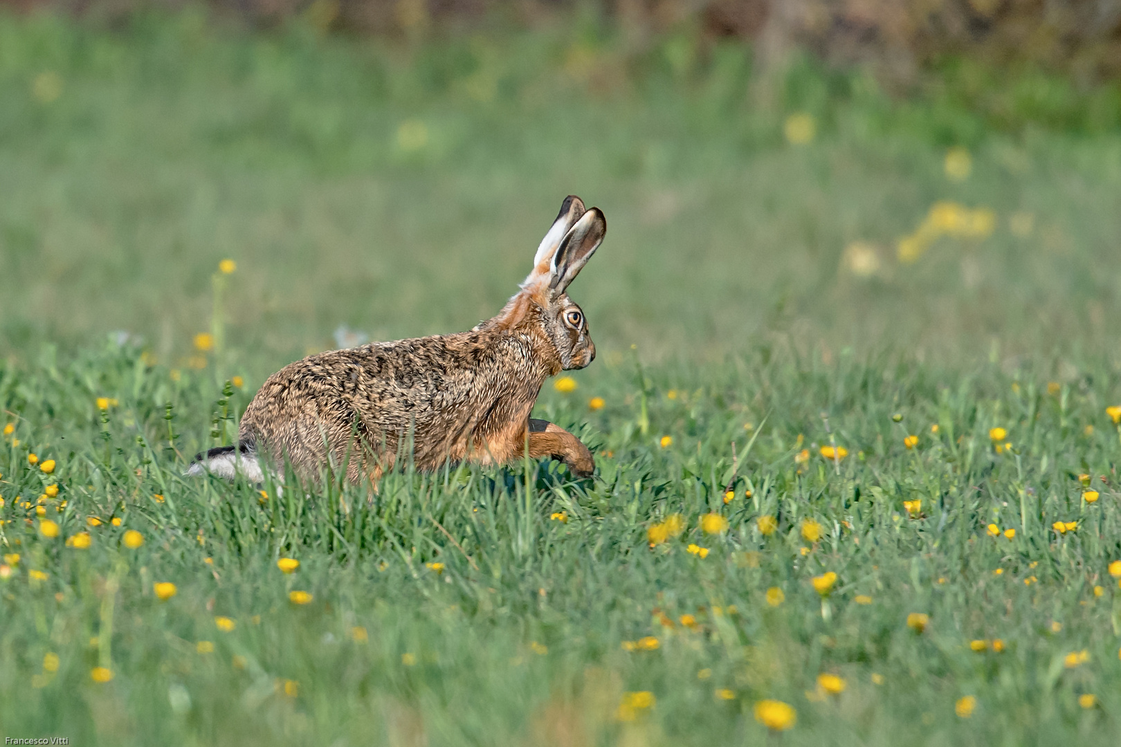 Ostern