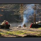 Ostern: ein Schläfchen am Waldsee oder lieber im Rückreisestau ?