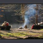 Ostern: ein Schläfchen am Waldsee oder lieber im Rückreisestau ?