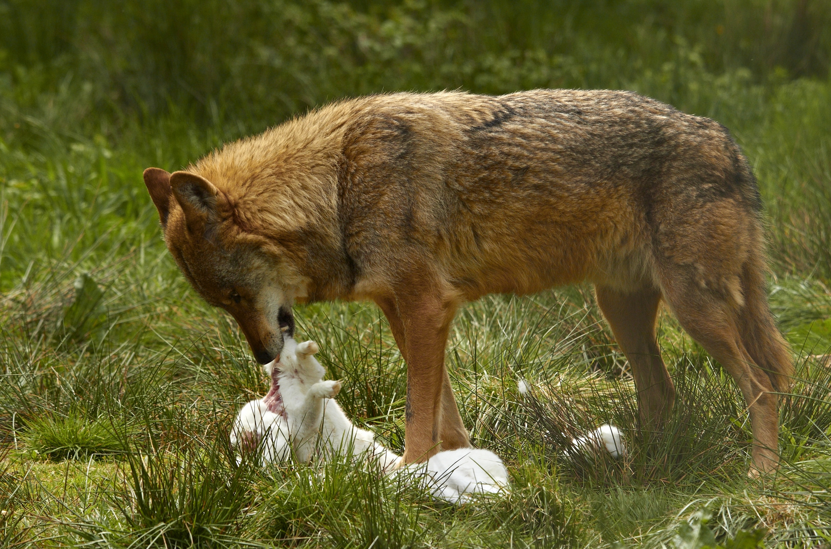 Ostern fällt aus