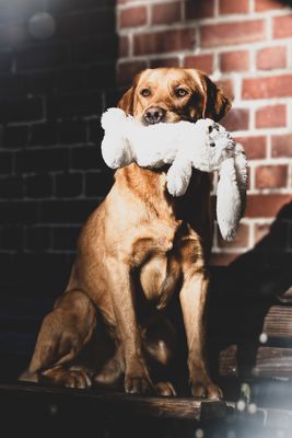 Ostern fällt aus...