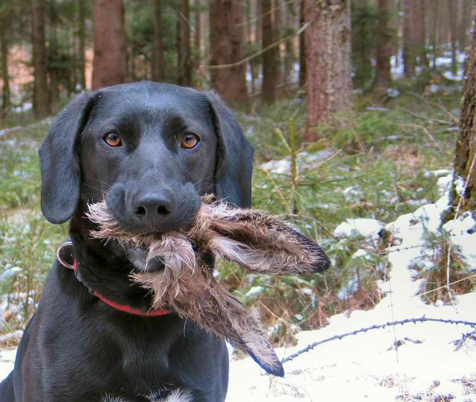 Ostern fällt aus!