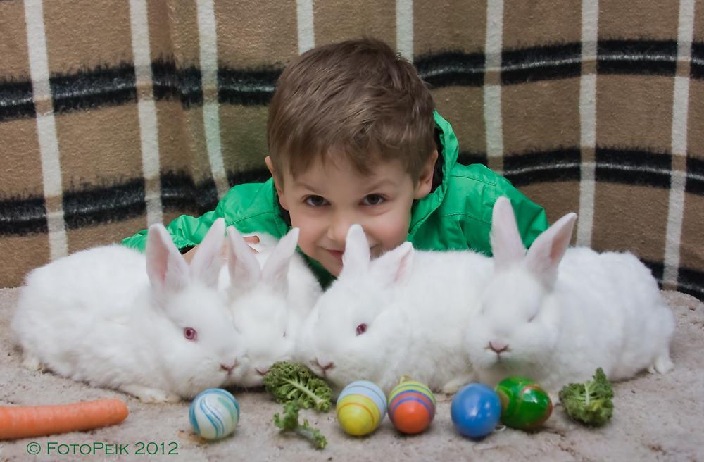 Ostern fällt dieses Jahr aus, auch die Vertretung kommt nicht