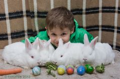 Ostern fällt dieses Jahr aus, auch die Vertretung kommt nicht