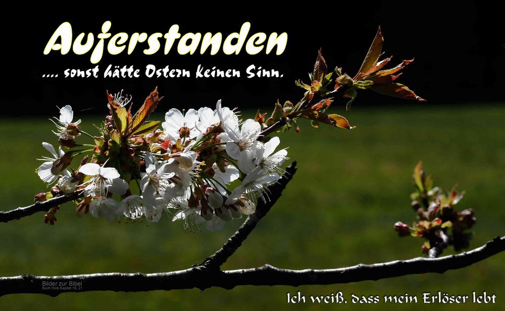 Ostern - Freude pur ....