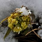 Ostern im Bayerischen Wald!