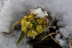 Ostern im Bayerischen Wald!