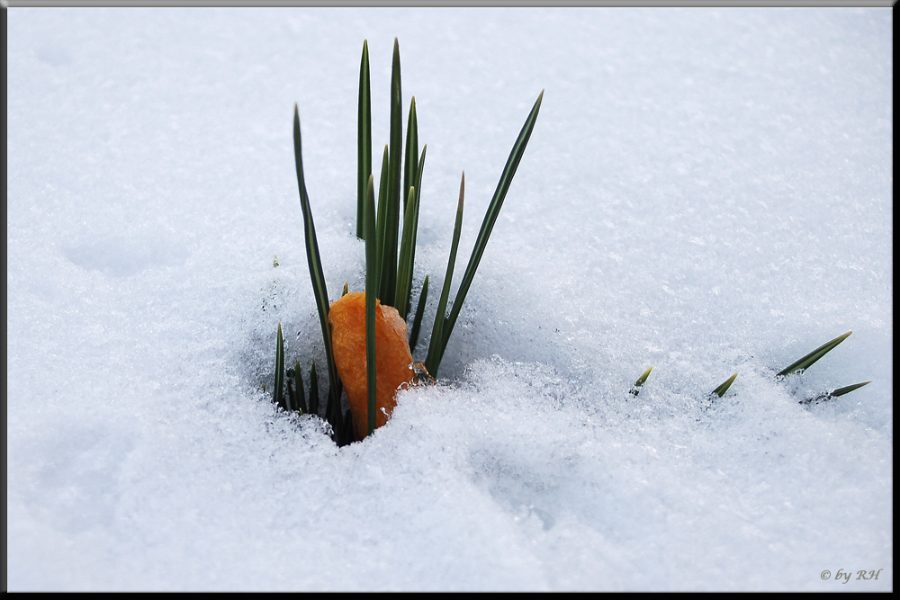 Ostern im Erzgebirge