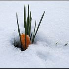 Ostern im Erzgebirge