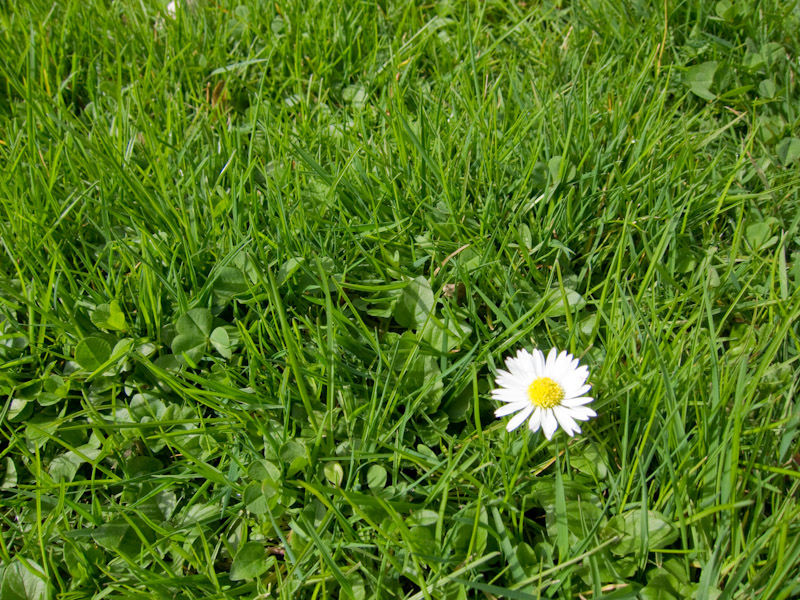 Ostern im Park