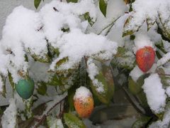 Ostern im Schnee 2008