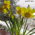 Ostern im Schnee