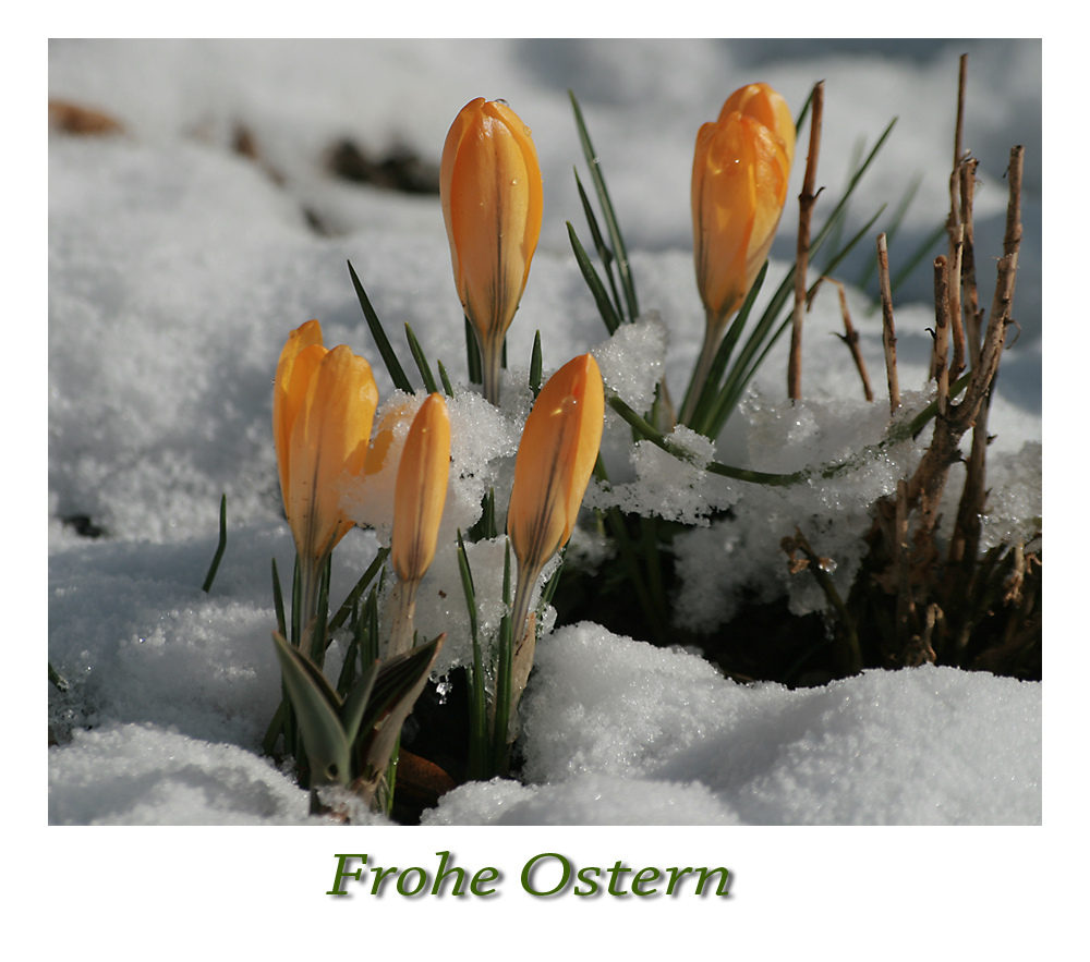 Ostern im Schnee