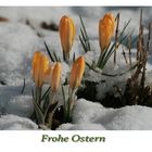 Ostern im Schnee