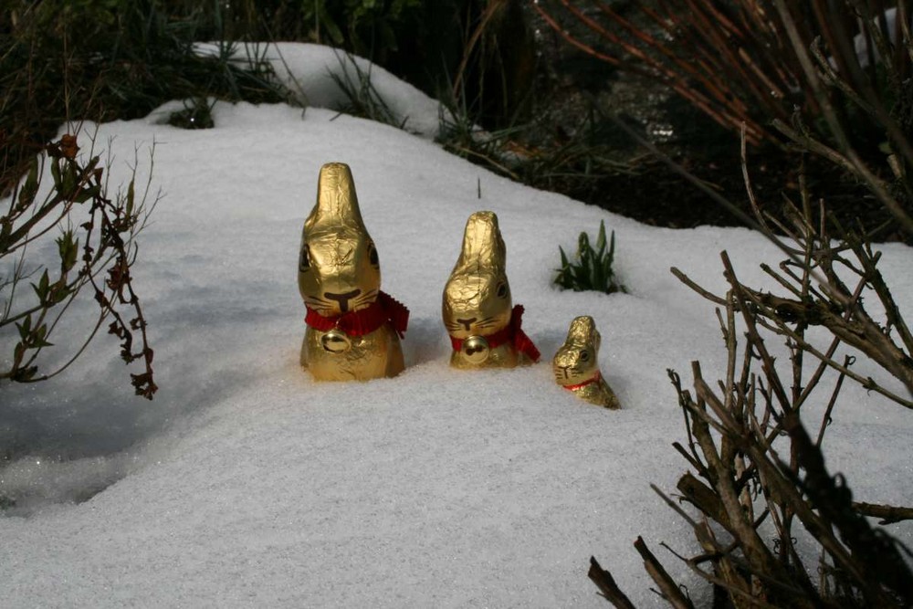 Ostern im Schnee