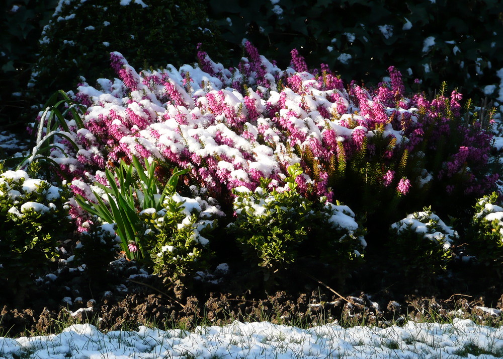 Ostern im Schnee