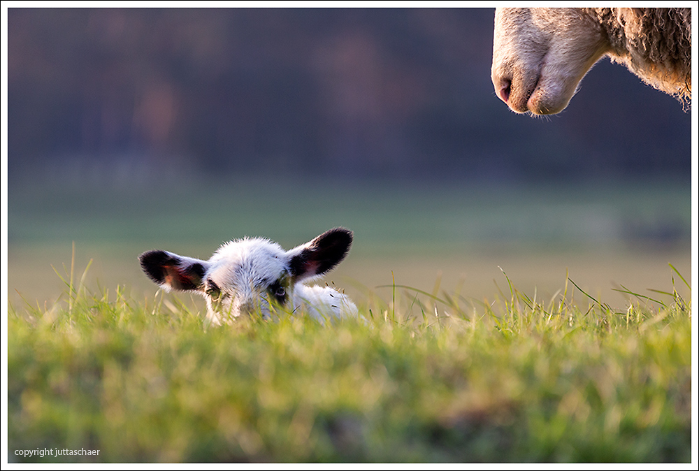 Ostern im Wendland