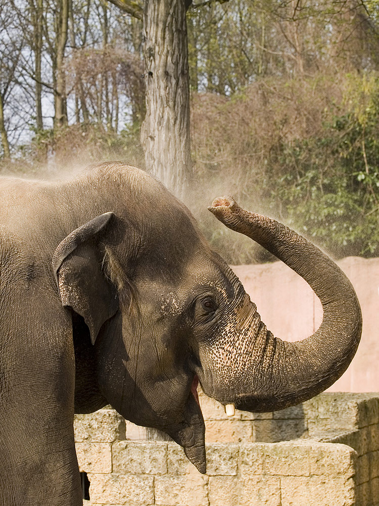 ostern im Zoo Hannover