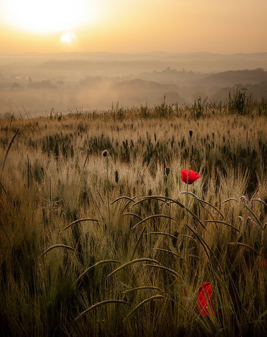 Ostern in der Toscana