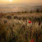 Ostern in der Toscana