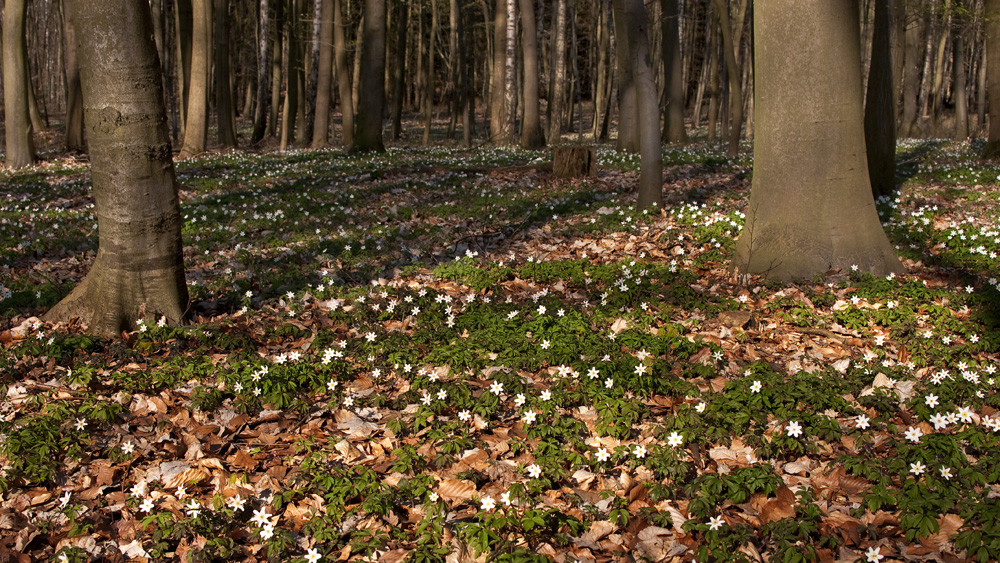 Ostern in der Uckermark 02