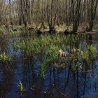 Ostern in der Uckermark 04