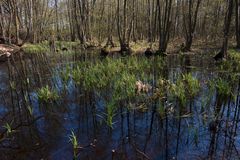 Ostern in der Uckermark 04