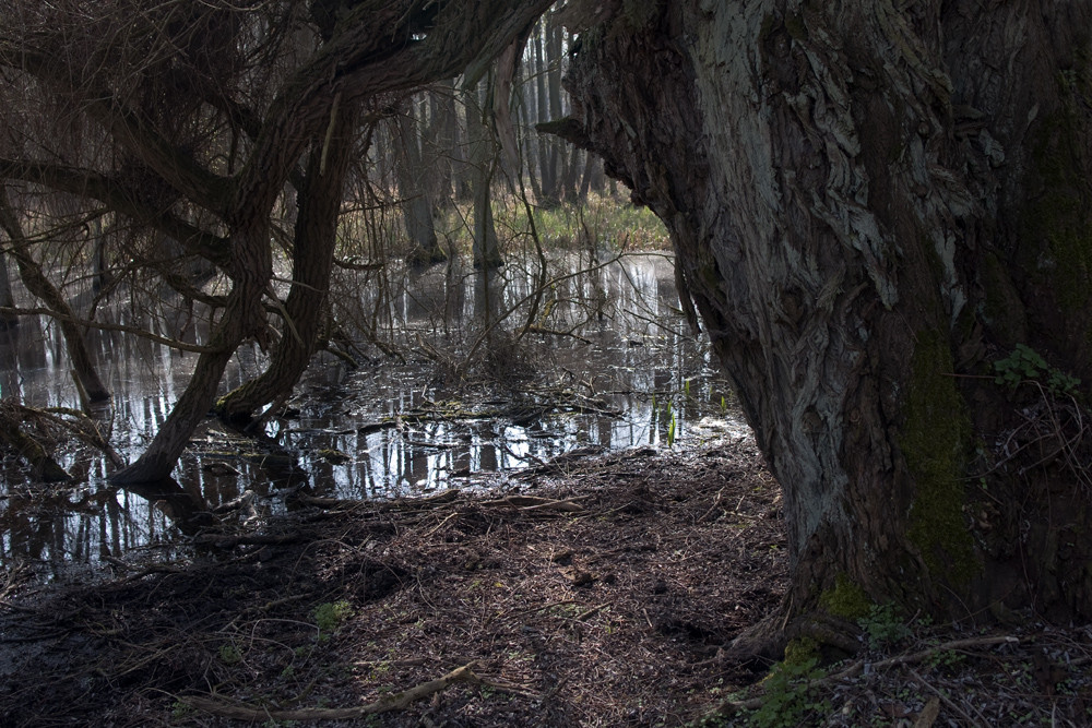 Ostern in der Uckermark 06