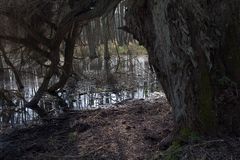 Ostern in der Uckermark 06